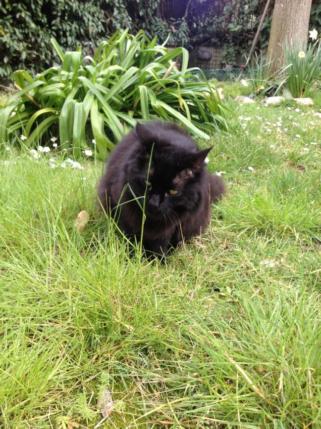 Omar in giardino