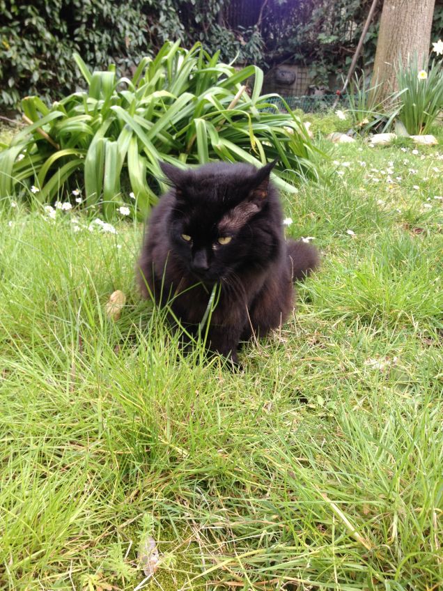 Omar in giardino