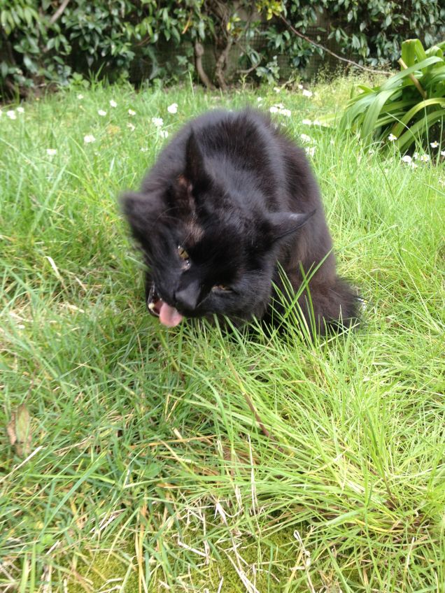 Omar in giardino