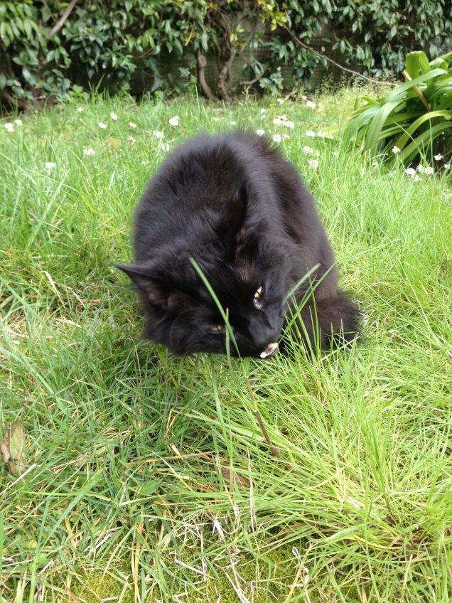 Omar in giardino