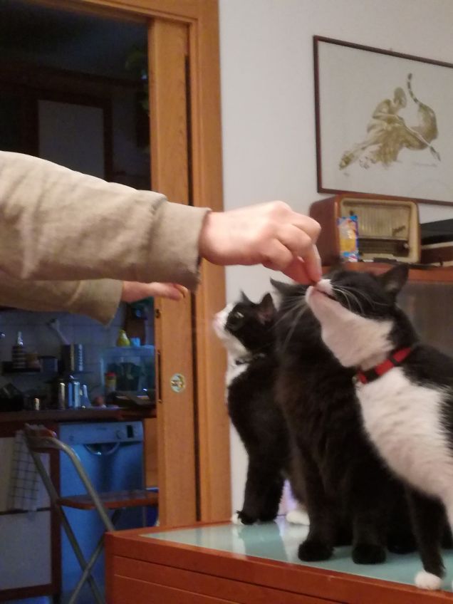 uhmm...buoni gli snack! 