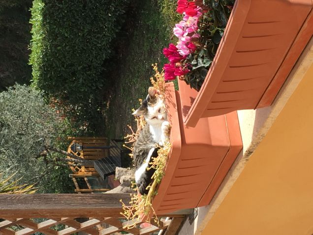 Ultimi giorni di sole