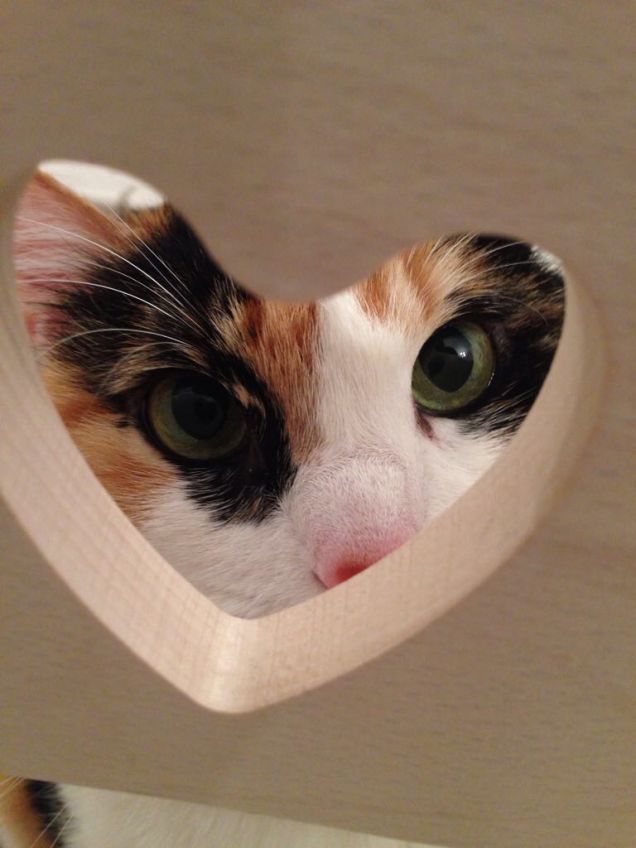 L'amore negli occhi di chi ami