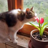 Al sole... finalmente!