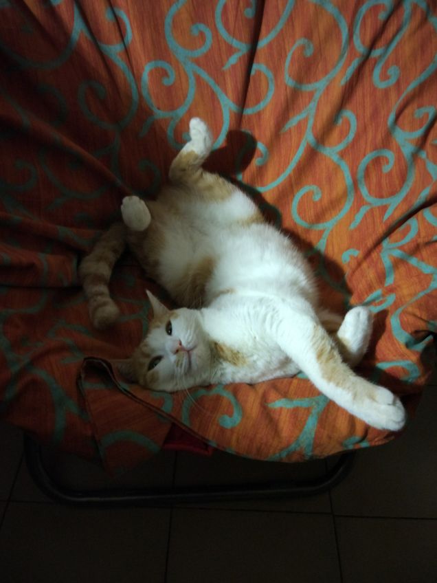 Qwerty in poltronissima!