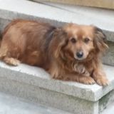 Cristina