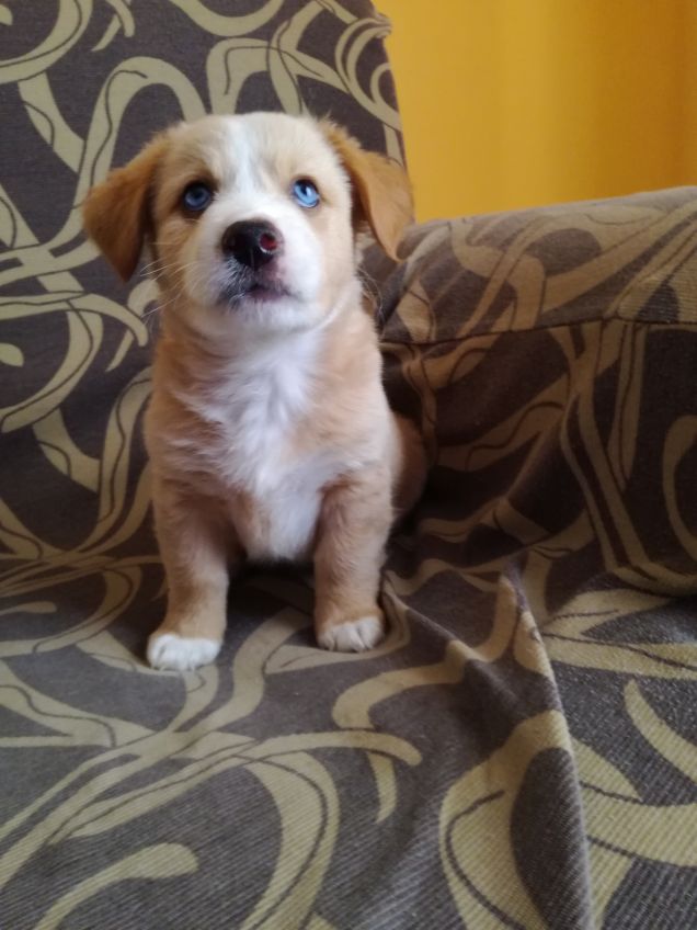 Bello come un peluche 