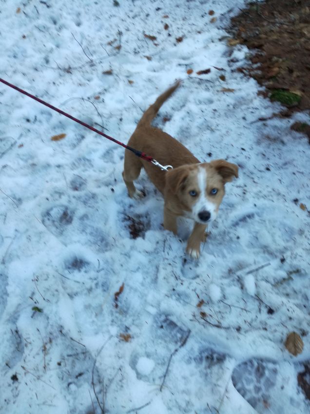 La mia prima neve❄⛄❄