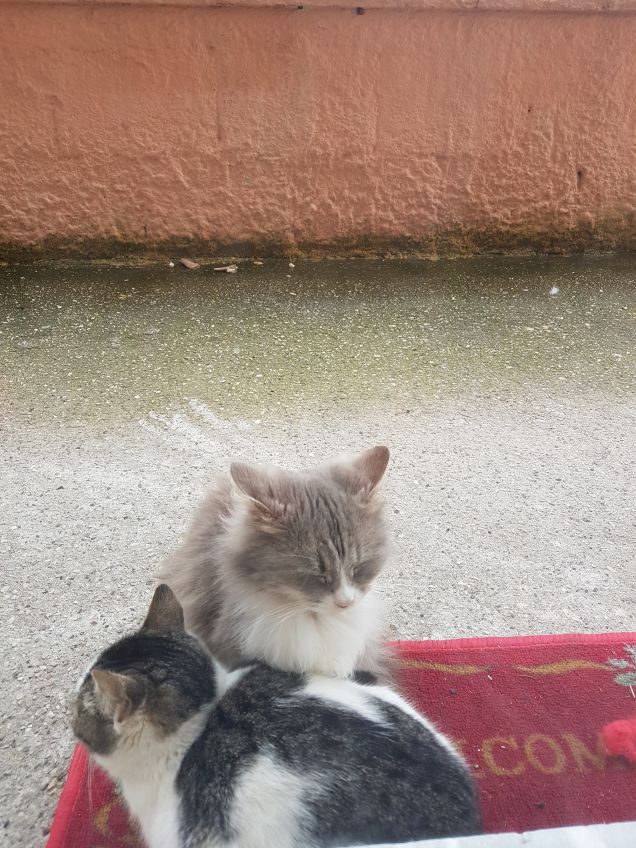 dobbiamo stare vicini vicini