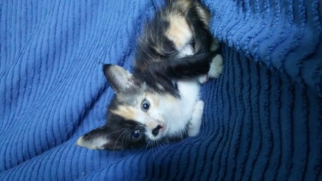 Il giorno che l abbiamo trovata