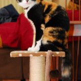 Samy la mia fotomodella