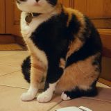 Samy con la sua autovettura preferita...