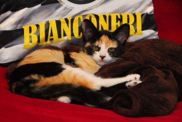 Samy tifosa della JUVE!