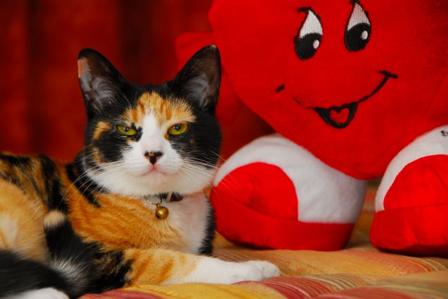 Samy con un amico peluche...