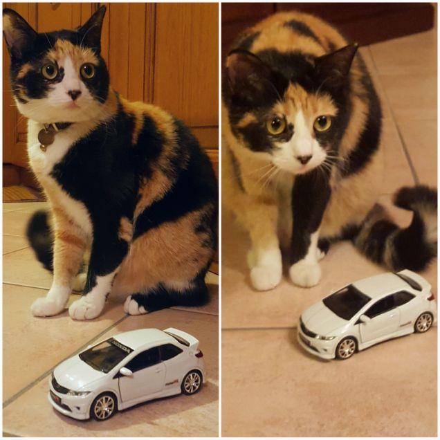 Samy con la sua autovettura preferita...