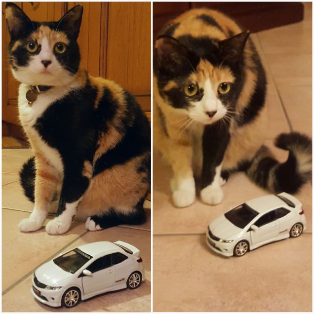 SAMY con la sua HONDA CIVIC