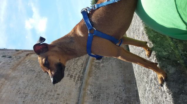 alla scoperta di otranto