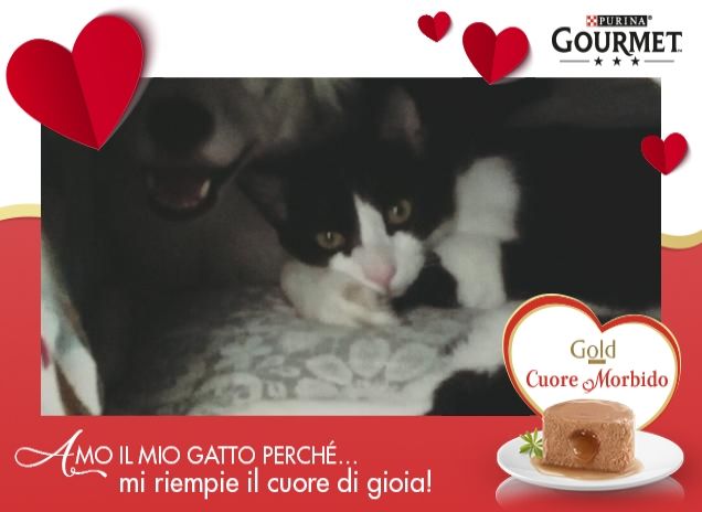 amore incondizionato