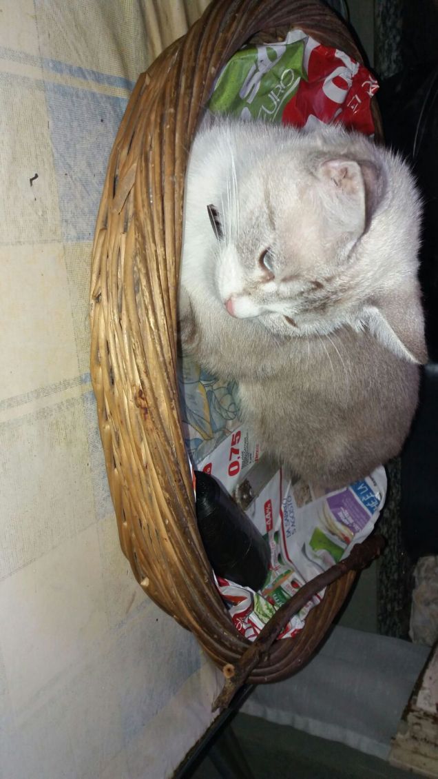 In mezzo Alle caramelle