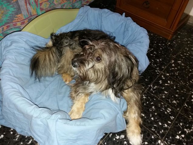 Mamma grazie per il lettino!