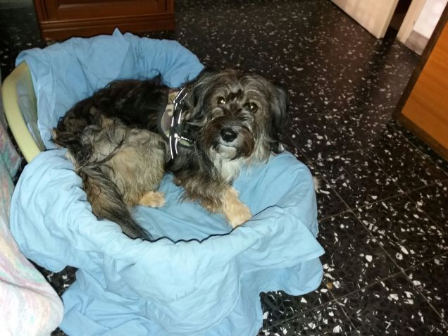 Che bello nel mio lettino