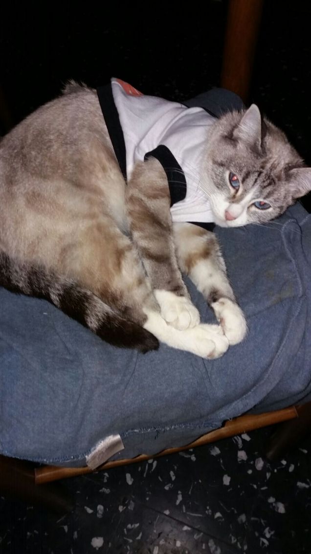 Con la magliettina nuova