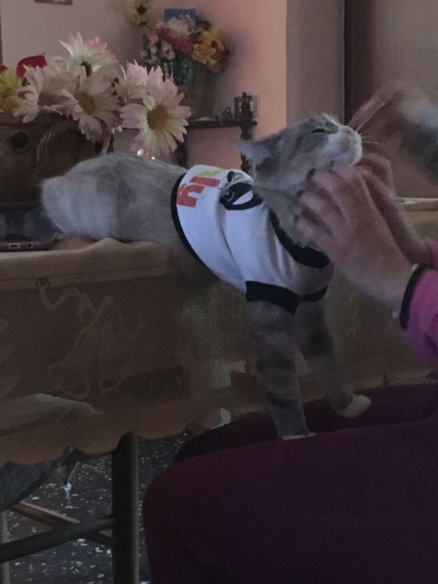 Adoro i grattini! Pr pr pr