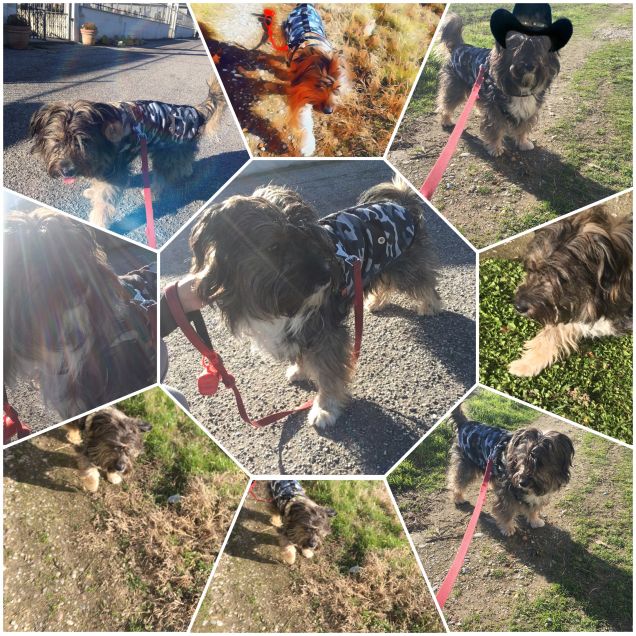 The run its my life!