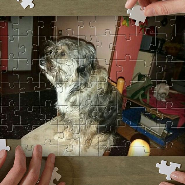 Puzzle