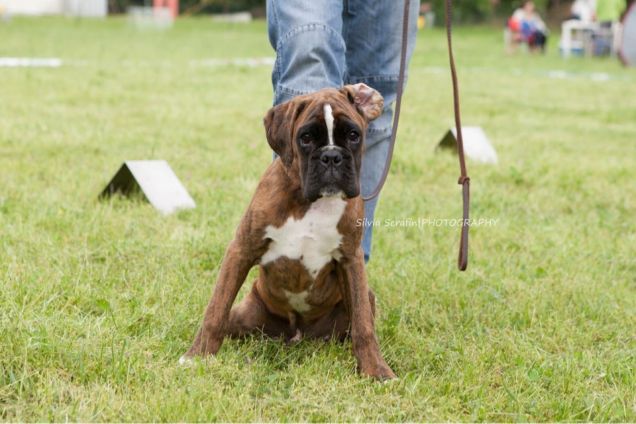 il nostro cucciolone