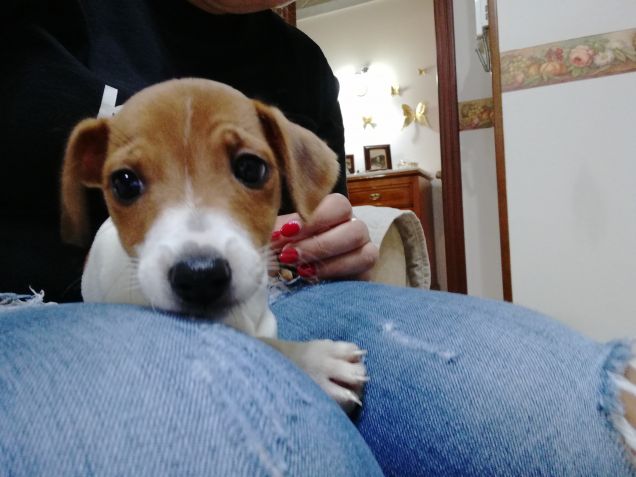 Primo giorno in famiglia 