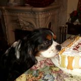 Il compleanno di lord