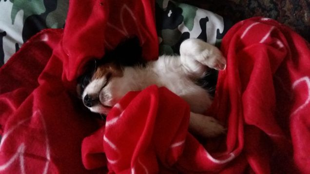 innamorarsi sempre di più