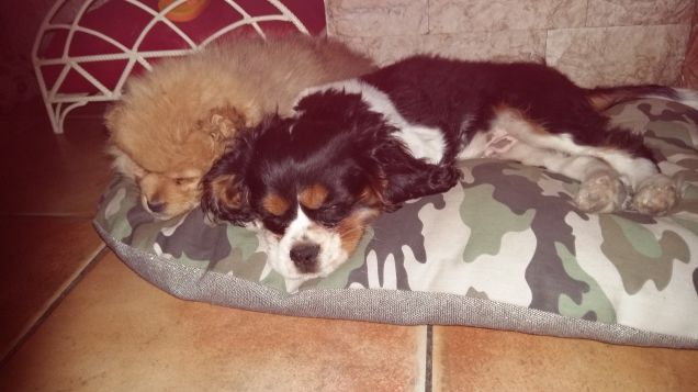 vicino...vicino...al fratellino