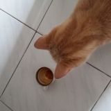 Picio e la pausa caffè 