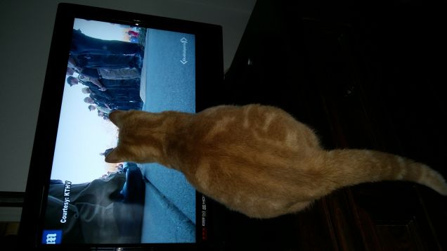 Picio dopo il relax si informa 