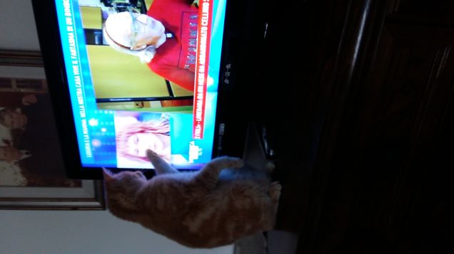 Picio tocca lo schermo dela tv