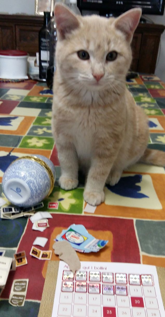 Picio e la raccolta punti