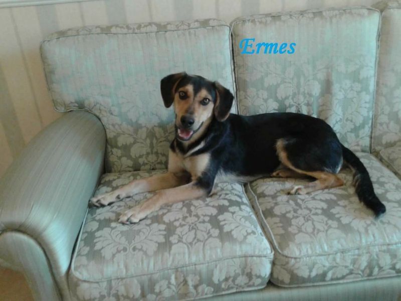 ERMES