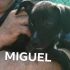 Miguel