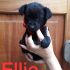 Ellie nata a maggio 2018 