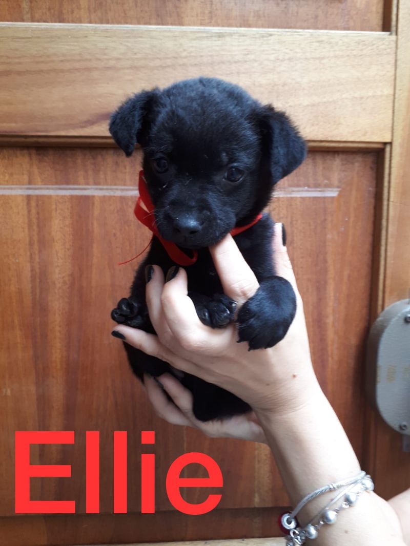 Ellie nata a maggio 2018 