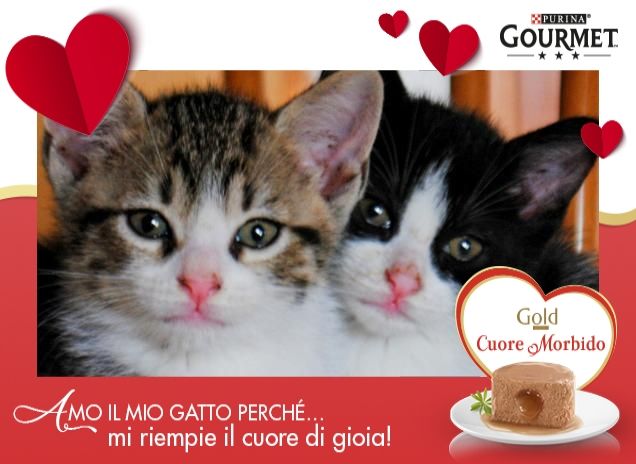 Come se fossero una cosa sola!