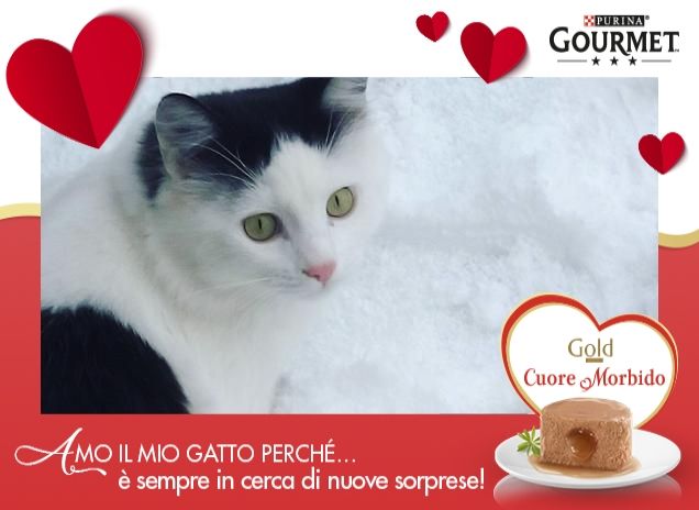 Il mio Leo bellissimo 