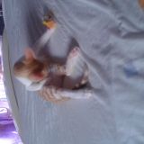 Iniziò di una vita insieme