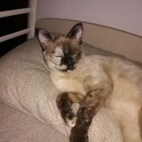 Greta