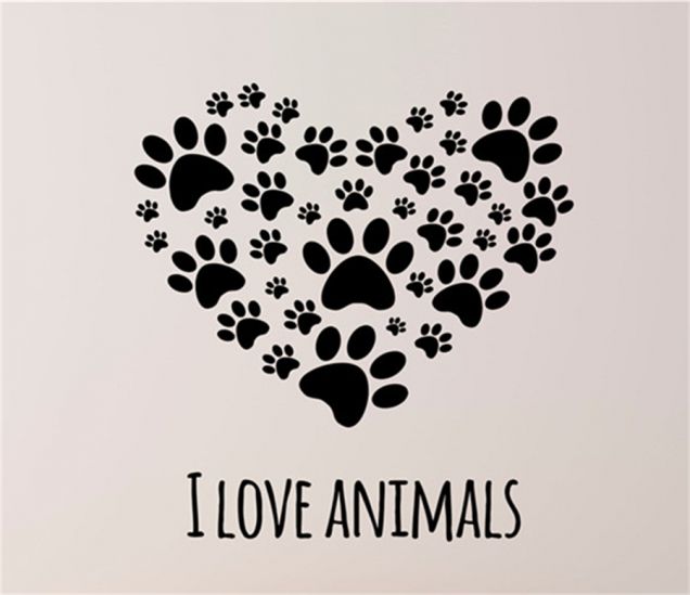 animals