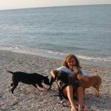 Le vacanze di jhonny