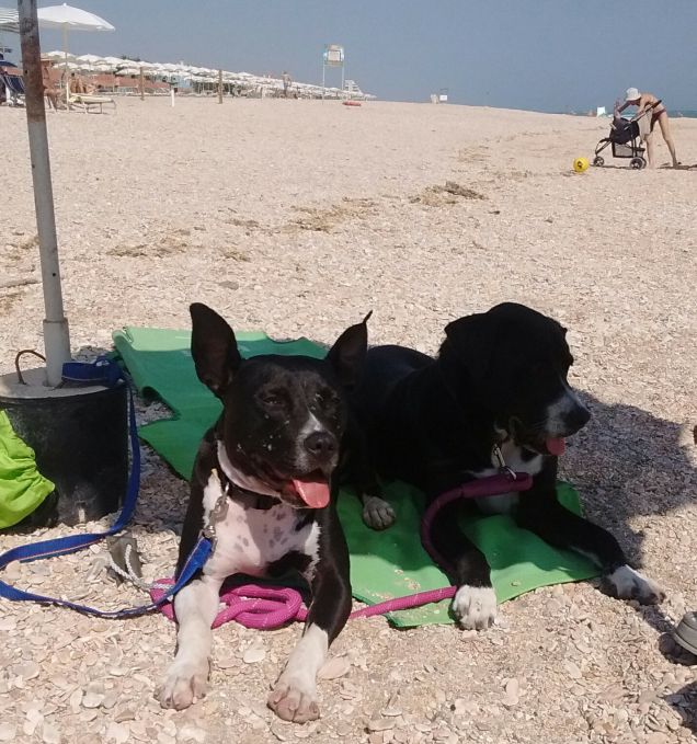 JHONNY E QUEEN AL MARE