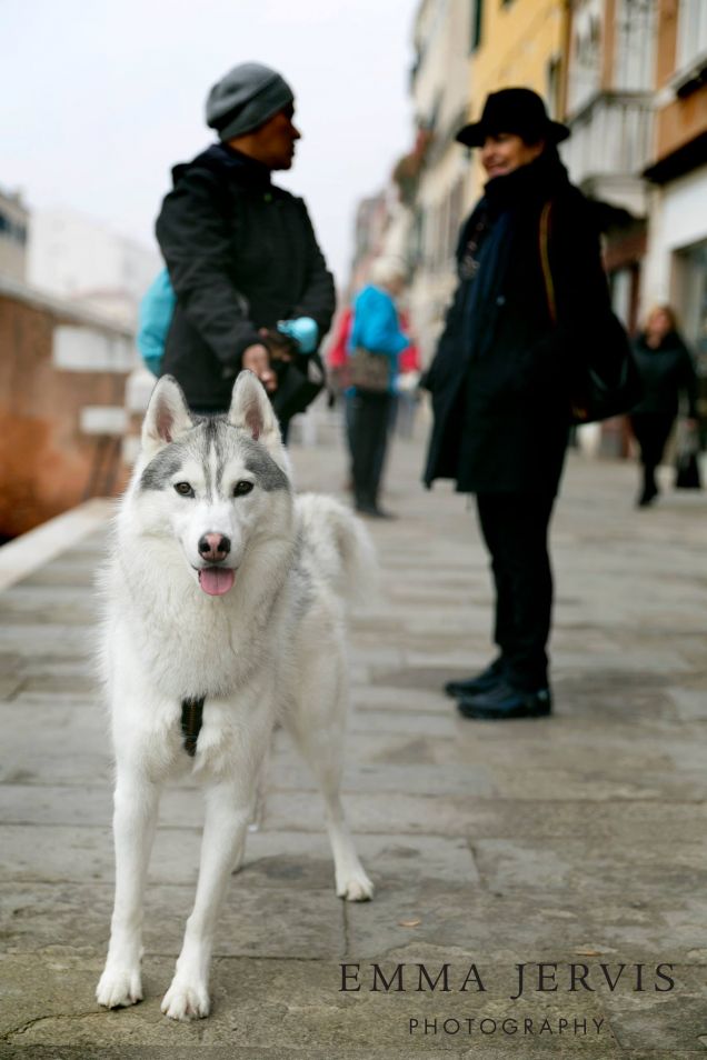 a venezia de paseo